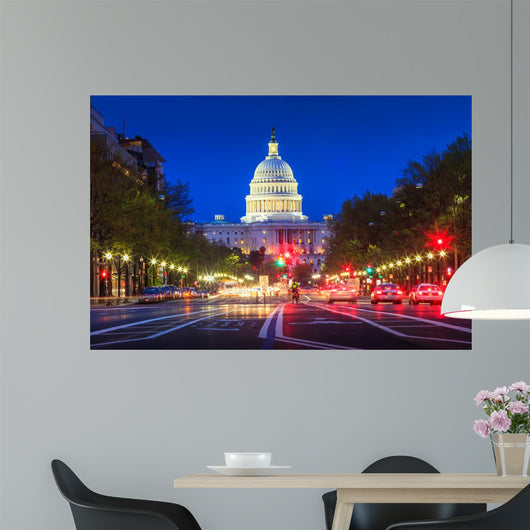 Capitol building in Washington DC Wall Mural