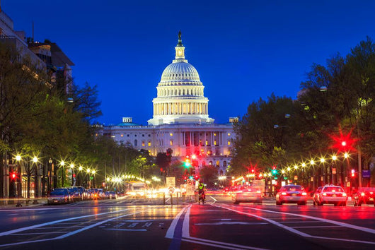 Capitol building in Washington DC Wall Mural
