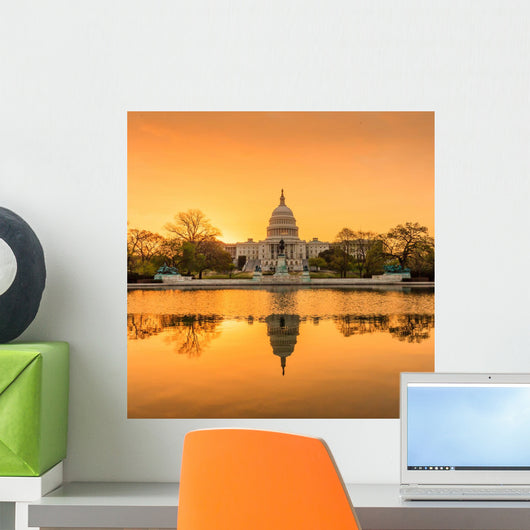 Capitol Building in Washington DC Wall Mural