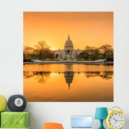 Capitol Building in Washington DC Wall Mural