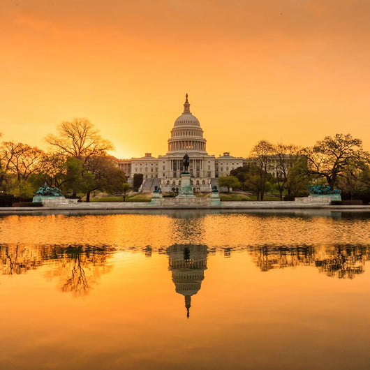 Capitol Building in Washington DC Wall Mural