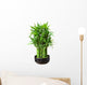 bamboo in a pot Wall Decal