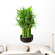bamboo in a pot Wall Decal