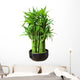 bamboo in a pot Wall Decal