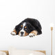 Bernese Mountain Dog Wall Decal