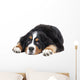 Bernese Mountain Dog Wall Decal