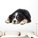 Bernese Mountain Dog Wall Decal