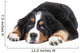 Bernese Mountain Dog Wall Decal