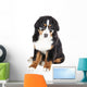 Bernese Mountain Dog in Glasses Wall Decal