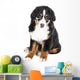 Bernese Mountain Dog in Glasses Wall Decal