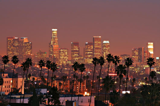 Los Angeles Skyline Wall Mural