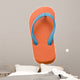 Flip Flop 