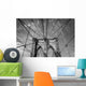 Brooklyn bridge, New York City Wall Mural