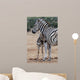 Baby Zebra and Mother 