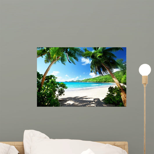 Beach Mahe Island Seychelles 