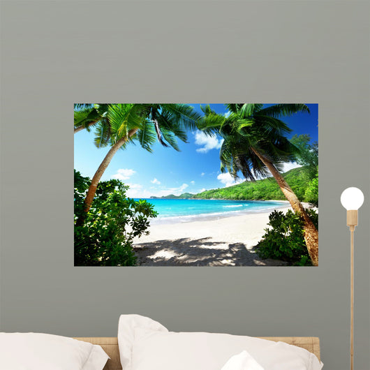 Beach Mahe Island Seychelles 