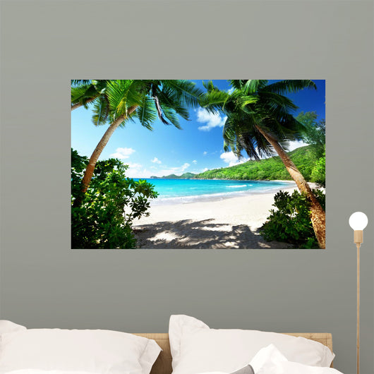 Beach Mahe Island Seychelles 