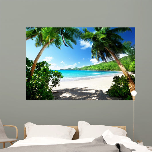 Beach Mahe Island Seychelles 