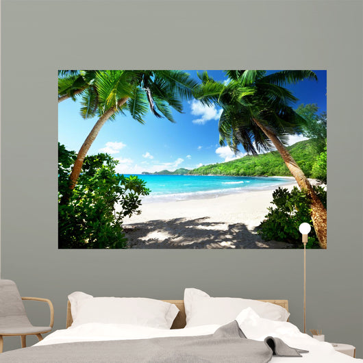 Beach Mahe Island Seychelles 