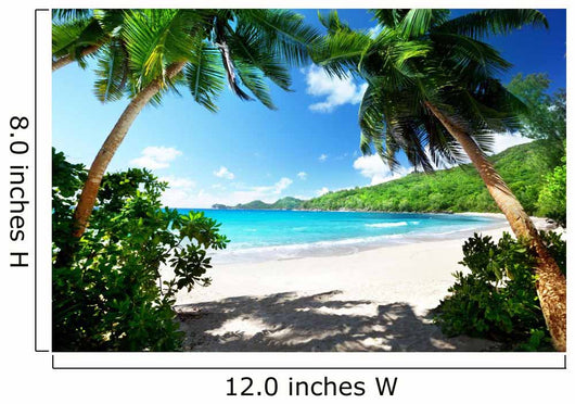 Beach Mahe Island Seychelles 