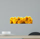 yellow roses Wall Decal