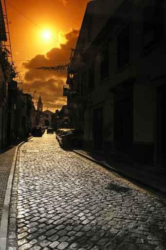 Madeira Wall Decal