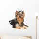 Yorkie Puppy Wall Decal
