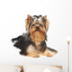 Yorkie Puppy Wall Decal
