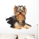 Yorkie Puppy Wall Decal