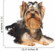 Yorkie Puppy Wall Decal