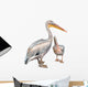 Pelicans 