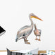 Pelicans 