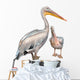 Pelicans 