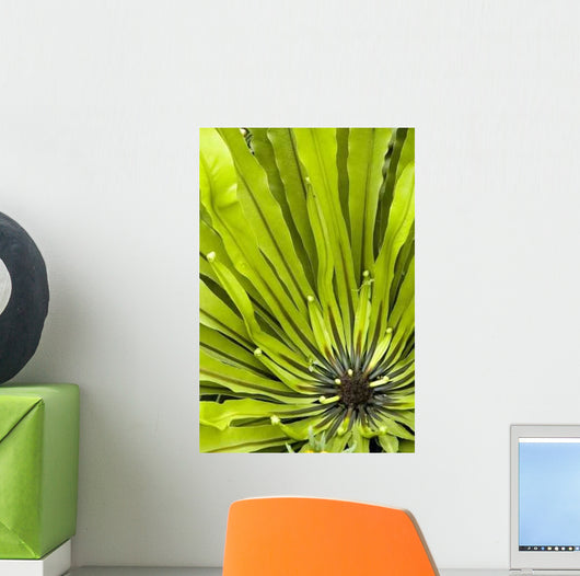 Green Plant Wall Decal