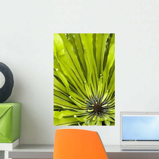 Green Plant Wall Decal