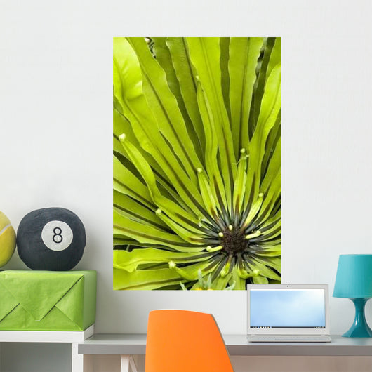 Green Plant Wall Decal