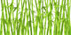 design of chinese bamboo trees Wall Mural
