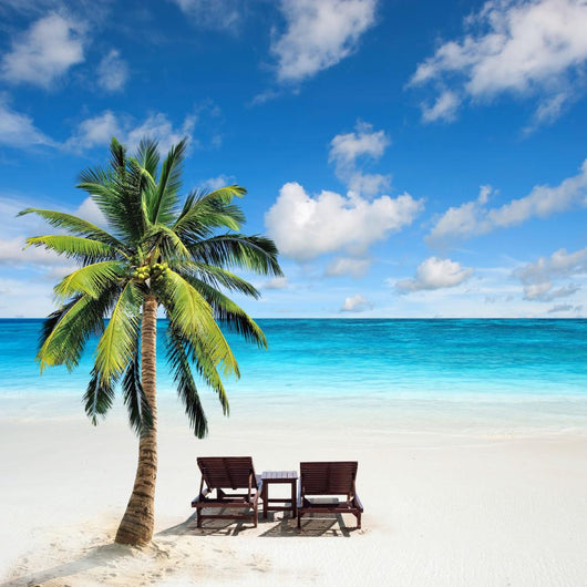 Relaxing under a palm tree on remote beach. 