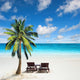 Relaxing under a palm tree on remote beach. 