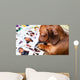Cute dog among the photos Wall Mural