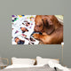 Cute dog among the photos Wall Mural