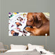 Cute dog among the photos Wall Mural