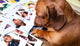 Cute dog among the photos Wall Mural
