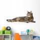 Tabby Cat Lying and Looking Away 