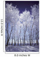 Frost And Snow Covered Trees Wall Mural