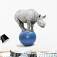 African White Rhinoceros Wall Decal