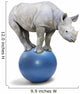 African White Rhinoceros Wall Decal