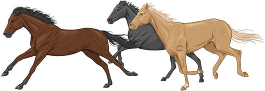 Three Isolated Galloping Horses 