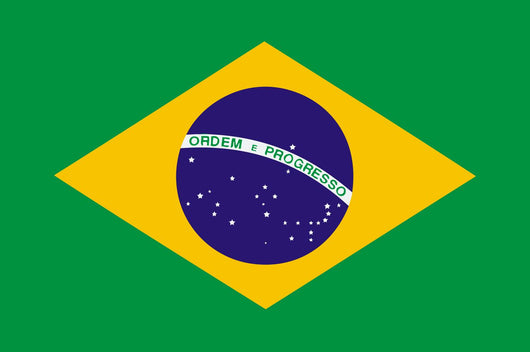 national flag of brazil Wall Mural