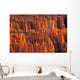 Rocky Canyon Wall Mural